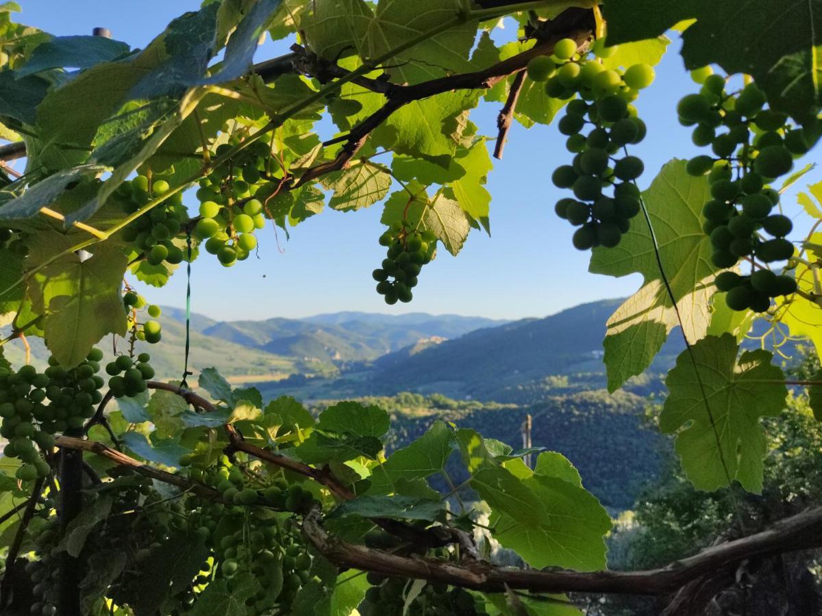 Guesthouse Runcini Ferentillo Dış mekan fotoğraf