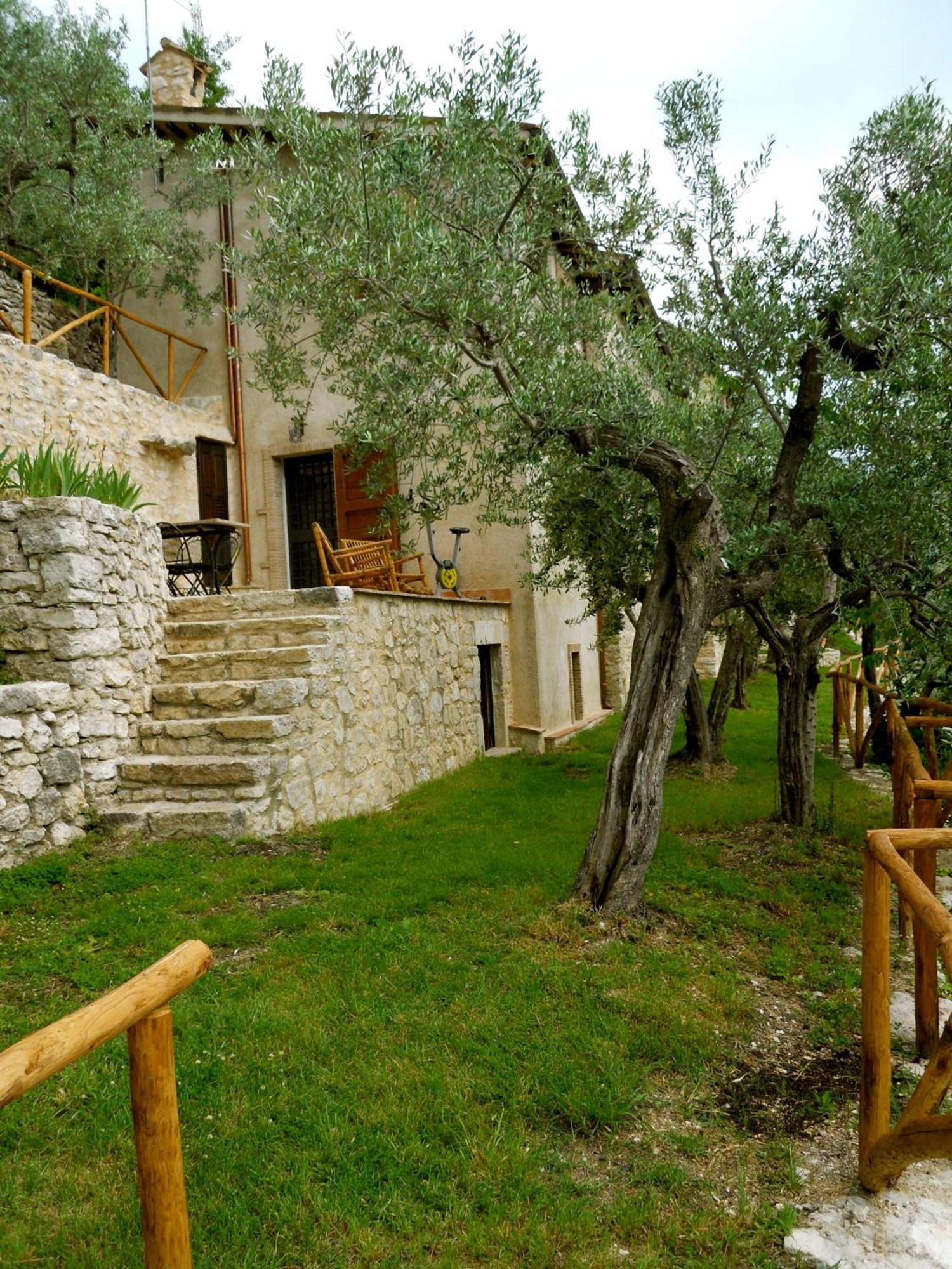 Guesthouse Runcini Ferentillo Dış mekan fotoğraf